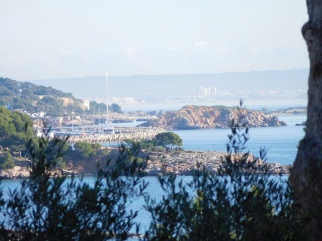 Grunde uden byggetilladelser til salg i Palmanova, Calvià - € 870.000 (Ref: 9552388)