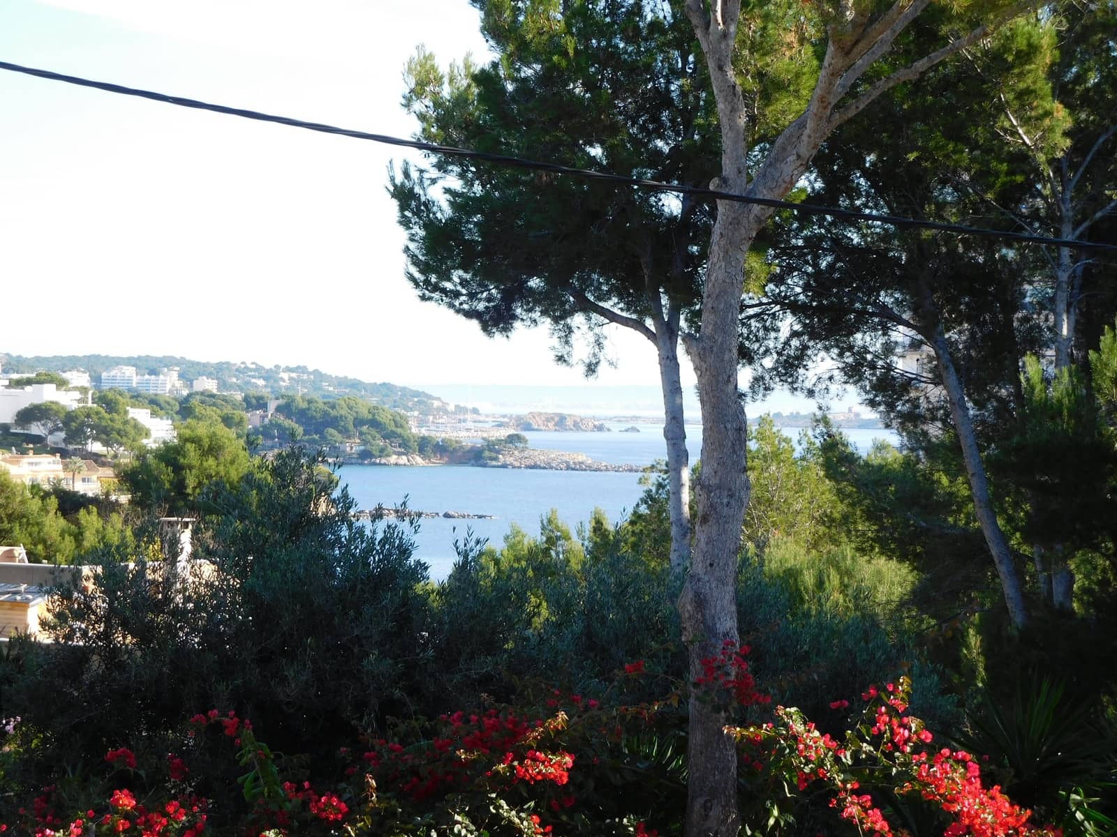 Grunde uden byggetilladelser til salg i Palmanova - € 870.000 (Ref: 9552388)