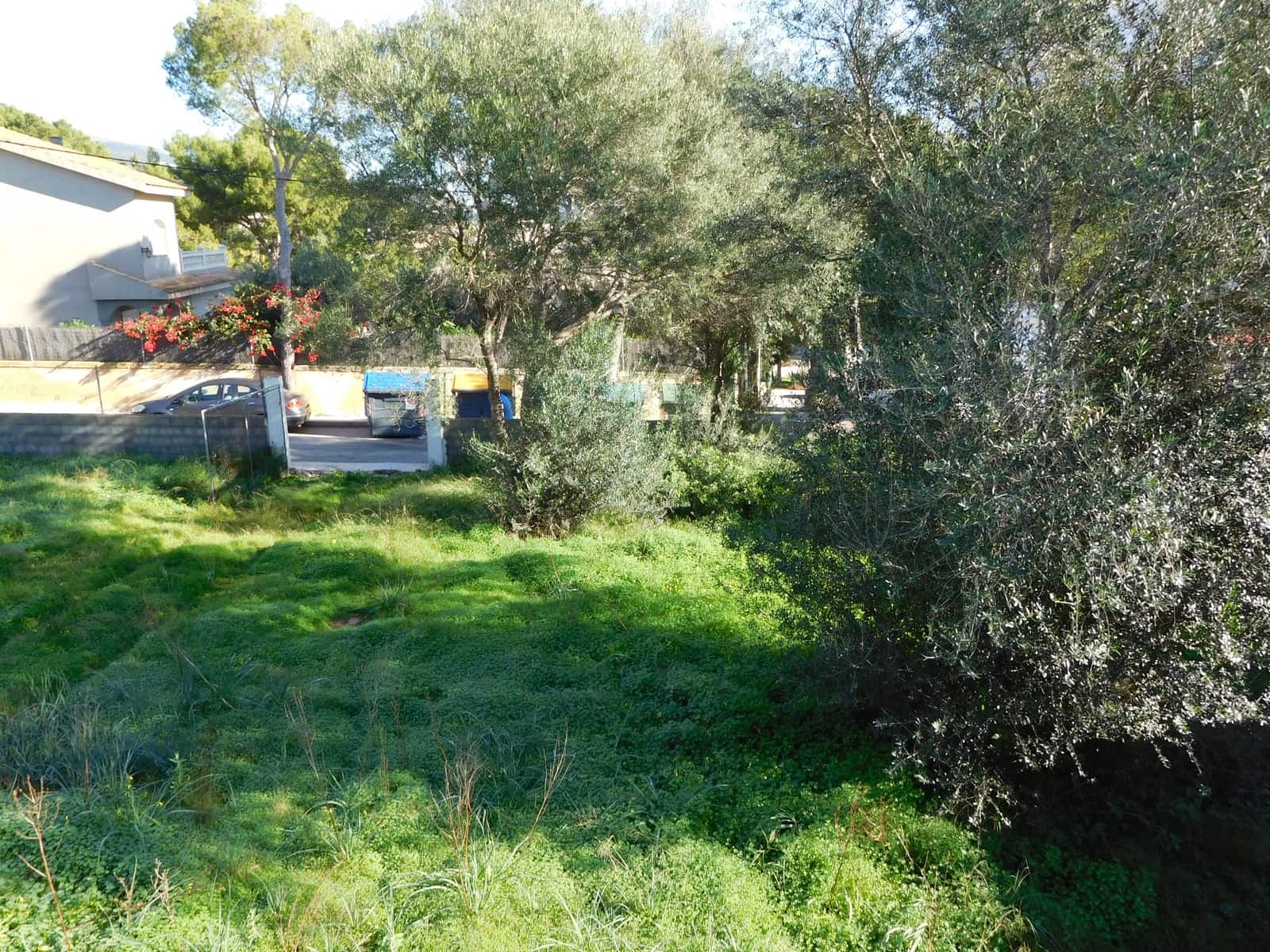Grunde uden byggetilladelser til salg i Palmanova - € 870.000 (Ref: 9552388)