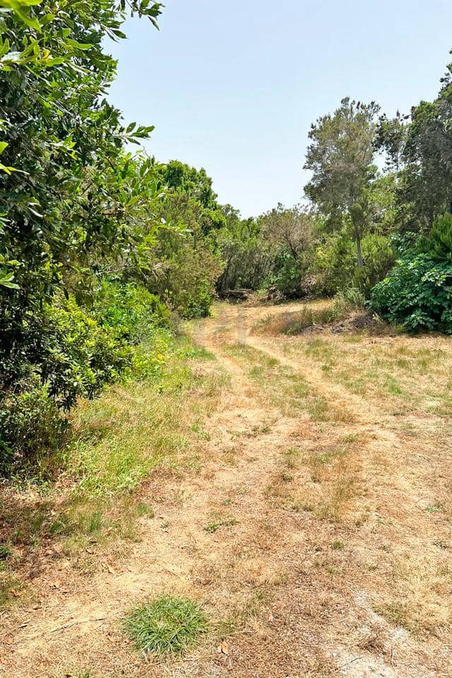 Undeveloped Land for sale in El Tanque - € 240,000 (Ref: 10156782)