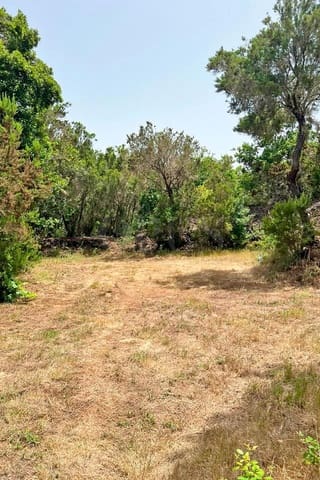 Terre non Aménagée à vendre à El Tanque - 240 000 € (Ref: 10156782)