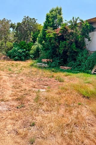 Terre non Aménagée à vendre à El Tanque - 240 000 € (Ref: 10156782)