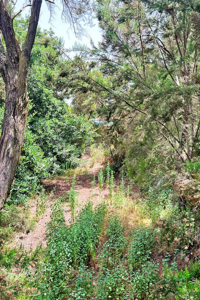 Undeveloped Land for sale in El Tanque - € 240,000 (Ref: 10156782)