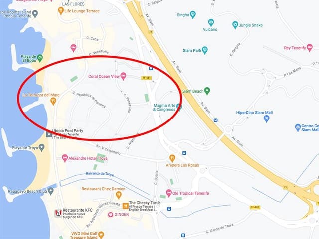 1 slaapkamer Bedrijf te koop in Playa de las Américas, Adeje - € 70.000 (Ref: 7846502)