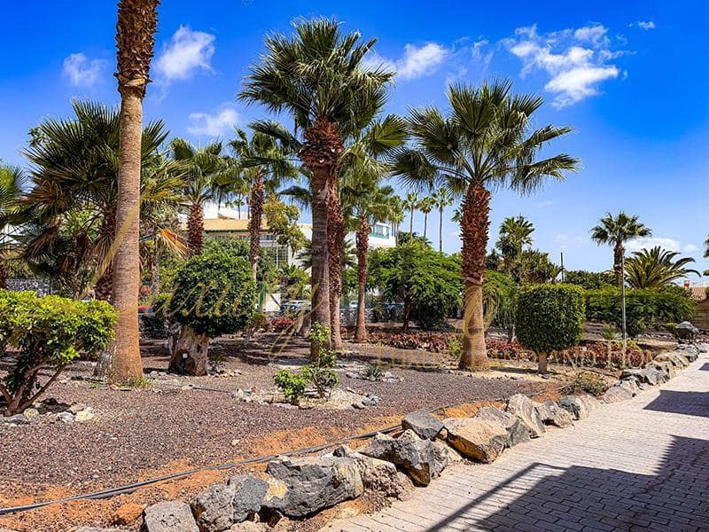 1 soverom Leilighet til salgs i Chayofa med svømmebasseng - € 250 000 (Ref: 8708732)