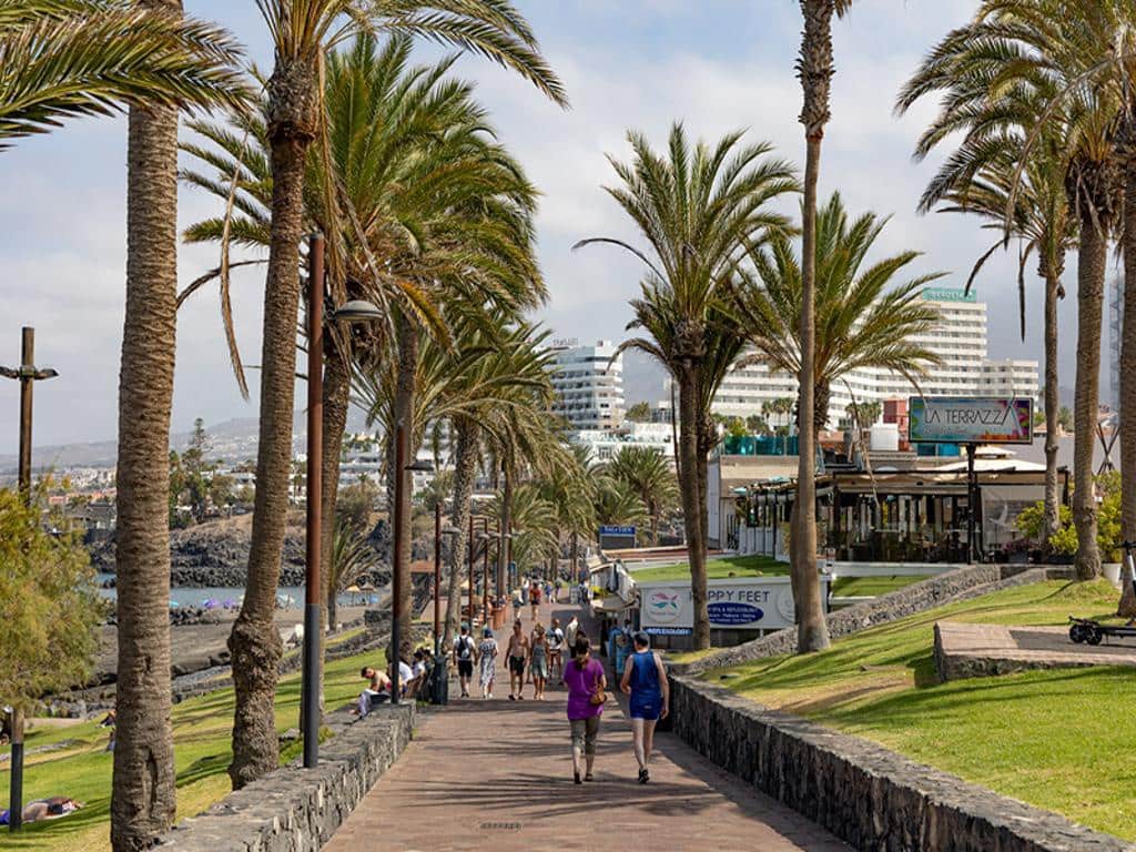 1 soveværelse Lejlighed til salg i Costa Adeje med swimmingpool garage - € 275.000 (Ref: 8765962)