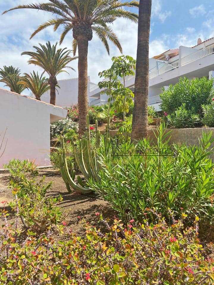 1 soveværelse Lejlighed til salg i Playa de las Americas med swimmingpool garage - € 365.000 (Ref: 9049220)