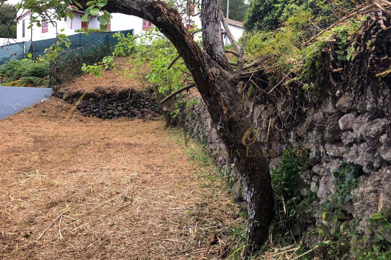 Mark till salu i El Tanque - 144 000 € (Ref: 9097585)