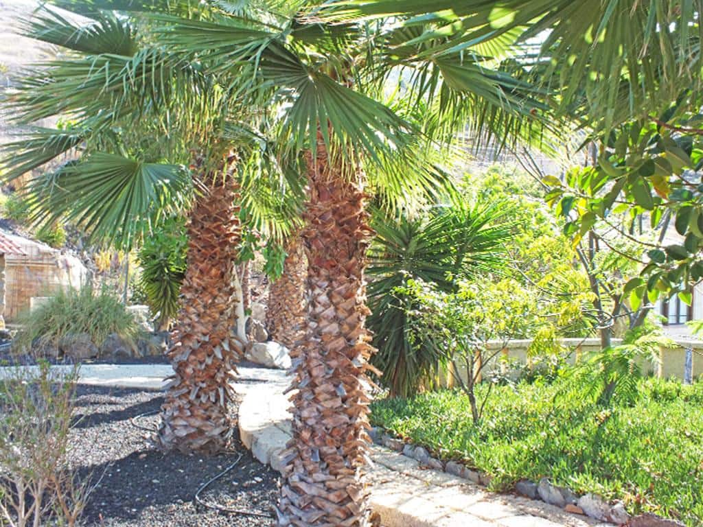 7 sypialnia Willa na sprzedaż w Los Menores z basenem garażem - 1 900 000 € (Ref: 9295928)