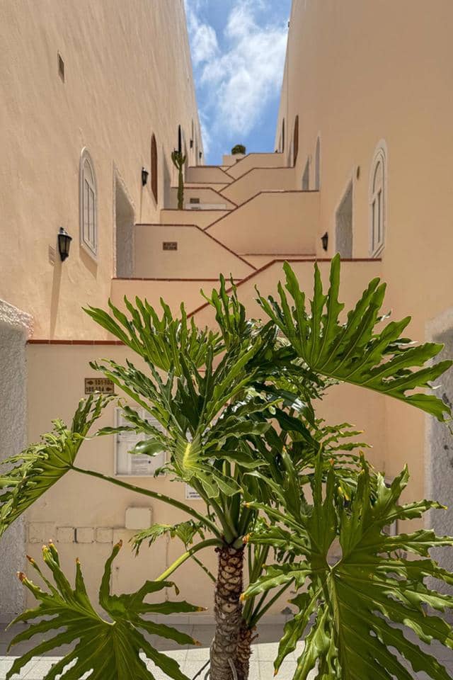 1 sypialnia Mieszkanie na sprzedaż w Costa Adeje z basenem - 294 000 € (Ref: 9532625)