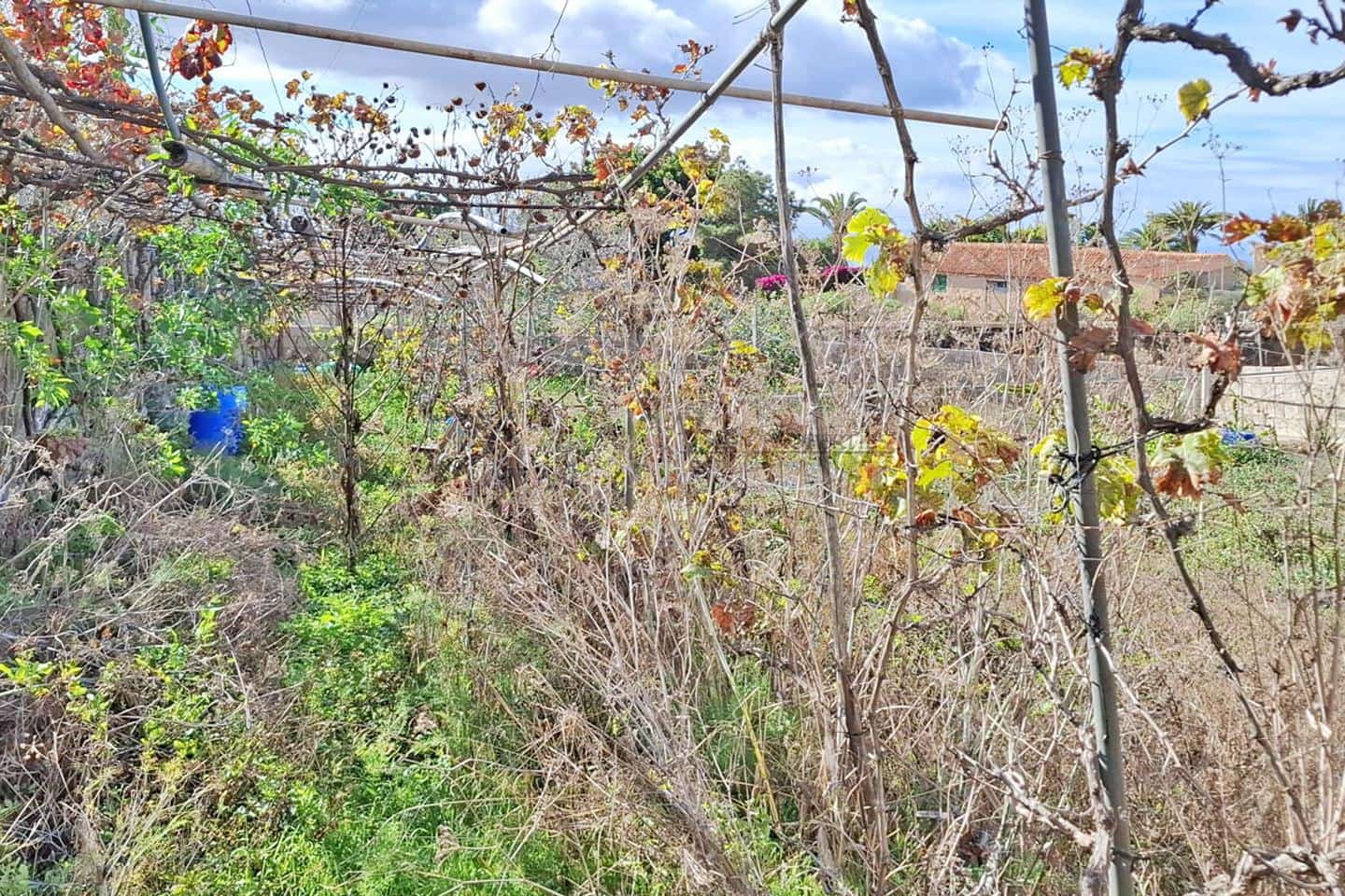 5 bedroom Villa for sale in La Sabinita - € 699,000 (Ref: 9709052)