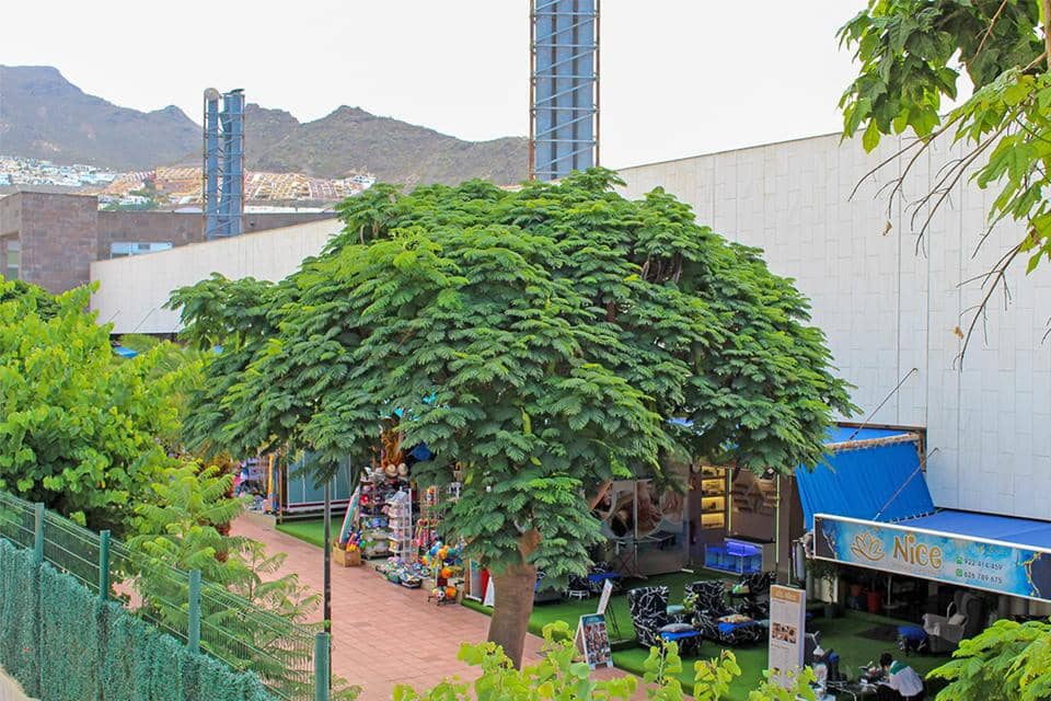 2 bedroom Flat for sale in Costa Adeje with pool - € 260,000 (Ref: 9747364)