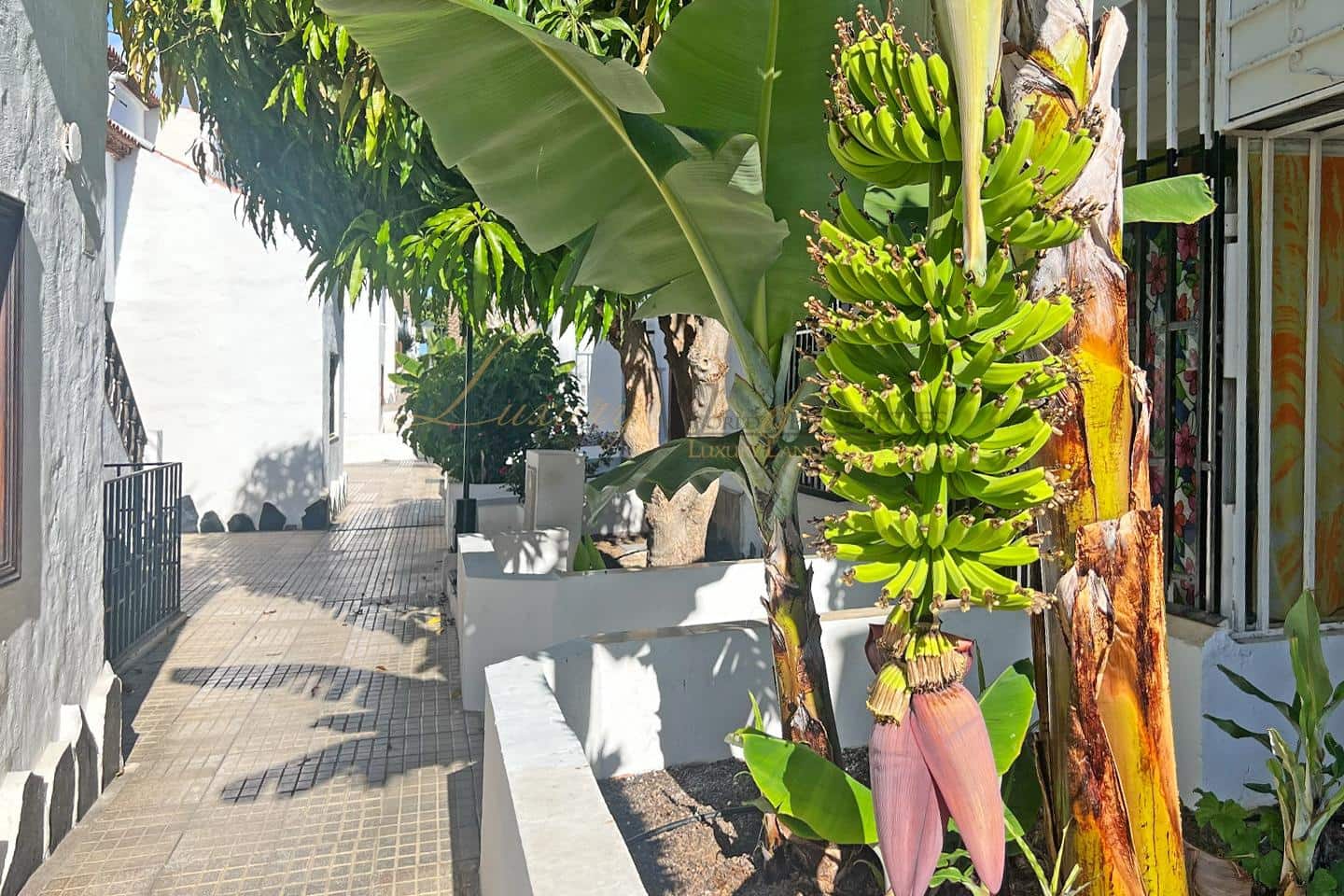 Piso de 2 habitaciones en Costa del Silencio en venta con piscina - 230.000 € (Ref: 9920908)
