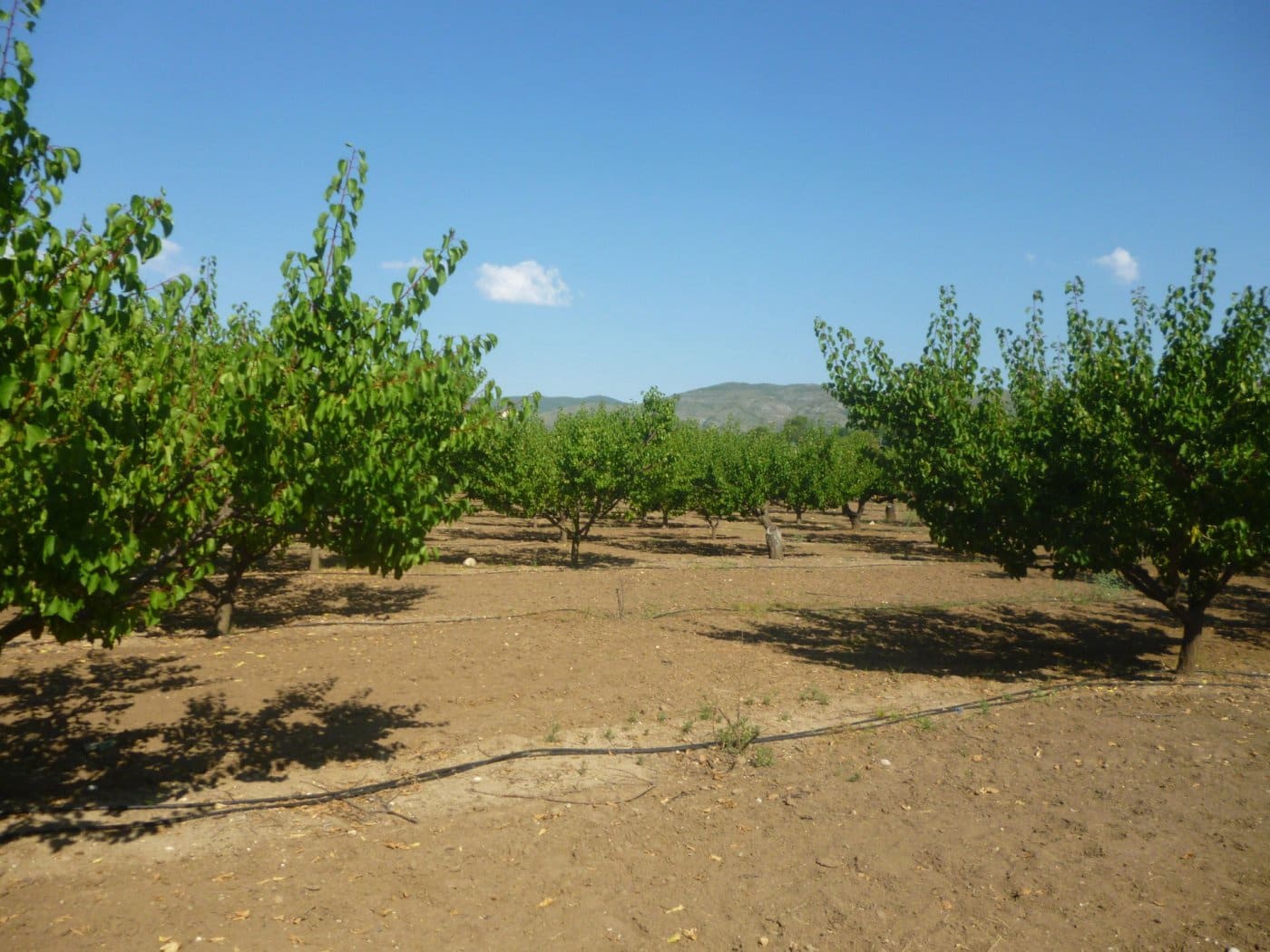 5 soveværelse Finca/Landehus til salg i Ontinyent med swimmingpool - € 1.008.339 (Ref: 6982715)