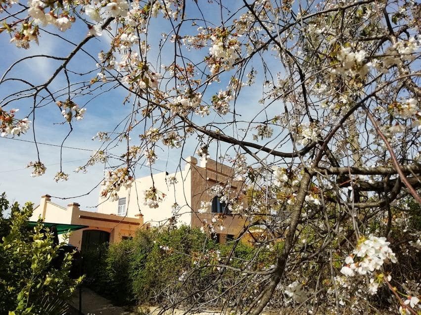 6 soveværelse Villa til salg i Ontinyent med swimmingpool garage - € 385.000 (Ref: 8822251)