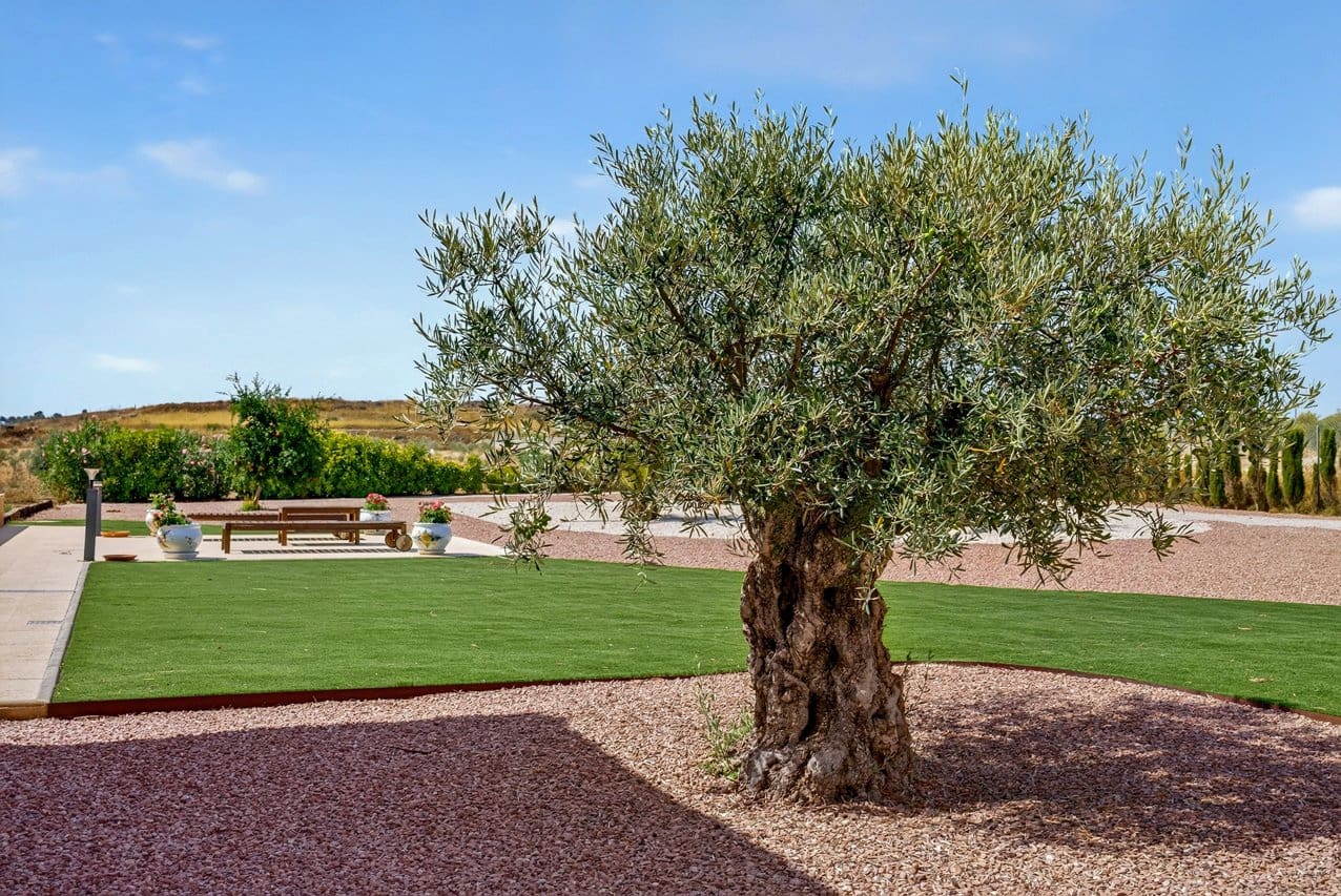 3 bedroom Villa for sale in Pinoso with pool - € 375,000 (Ref: 10016689)