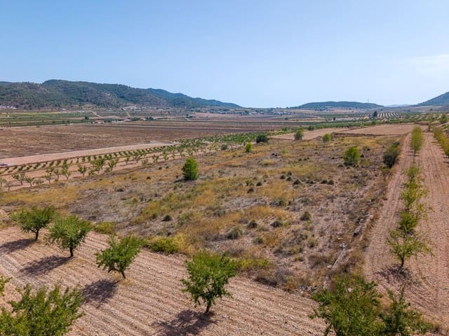 Mark till salu i Cañada de la Lena, Abanilla - 81 000 € (Ref: 10021566)
