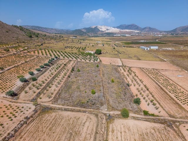Mark till salu i Cañada de la Lena, Abanilla - 81 000 € (Ref: 10021566)