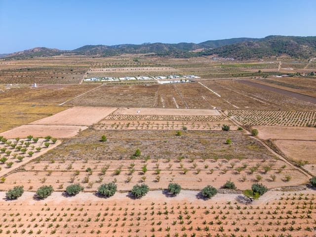 Mark till salu i Cañada de la Lena, Abanilla - 81 000 € (Ref: 10021566)