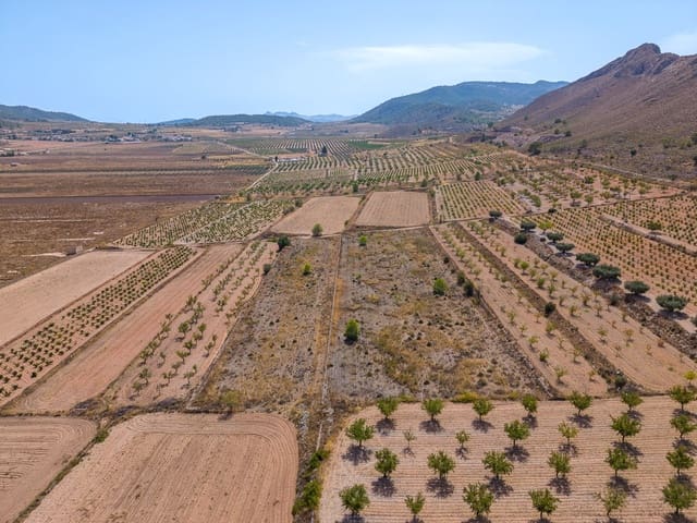 Mark till salu i Cañada de la Lena, Abanilla - 81 000 € (Ref: 10021566)