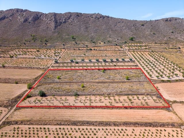 Mark till salu i Cañada de la Lena, Abanilla - 81 000 € (Ref: 10021566)