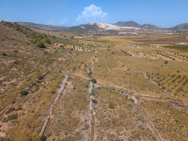 Mark till salu i Cañada de la Lena, Abanilla - 70 000 € (Ref: 10021567)