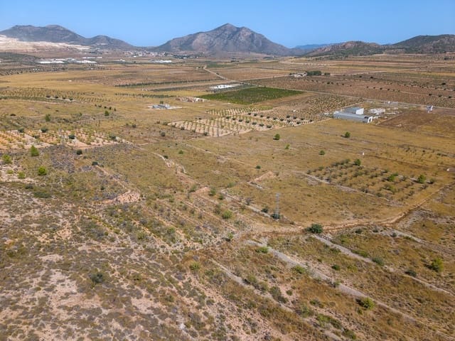 Mark till salu i Cañada de la Lena, Abanilla - 70 000 € (Ref: 10021567)