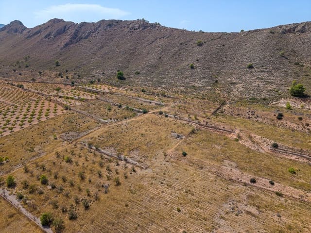 Mark till salu i Cañada de la Lena, Abanilla - 70 000 € (Ref: 10021567)