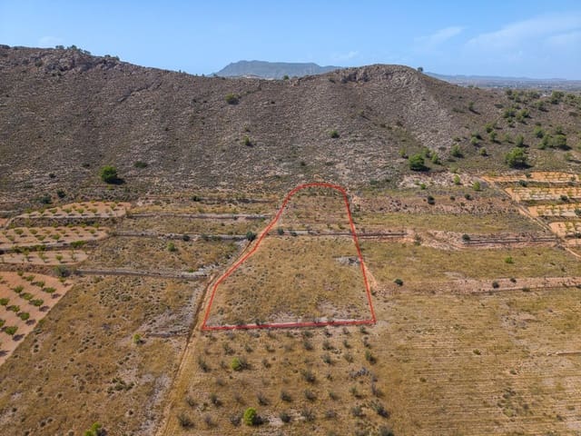 Mark till salu i Cañada de la Lena, Abanilla - 70 000 € (Ref: 10021567)