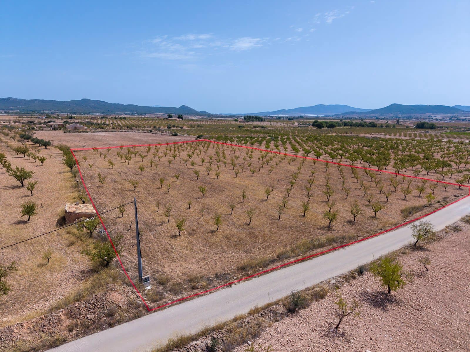 Mark till salu i Pinoso - 65 000 € (Ref: 10048079)