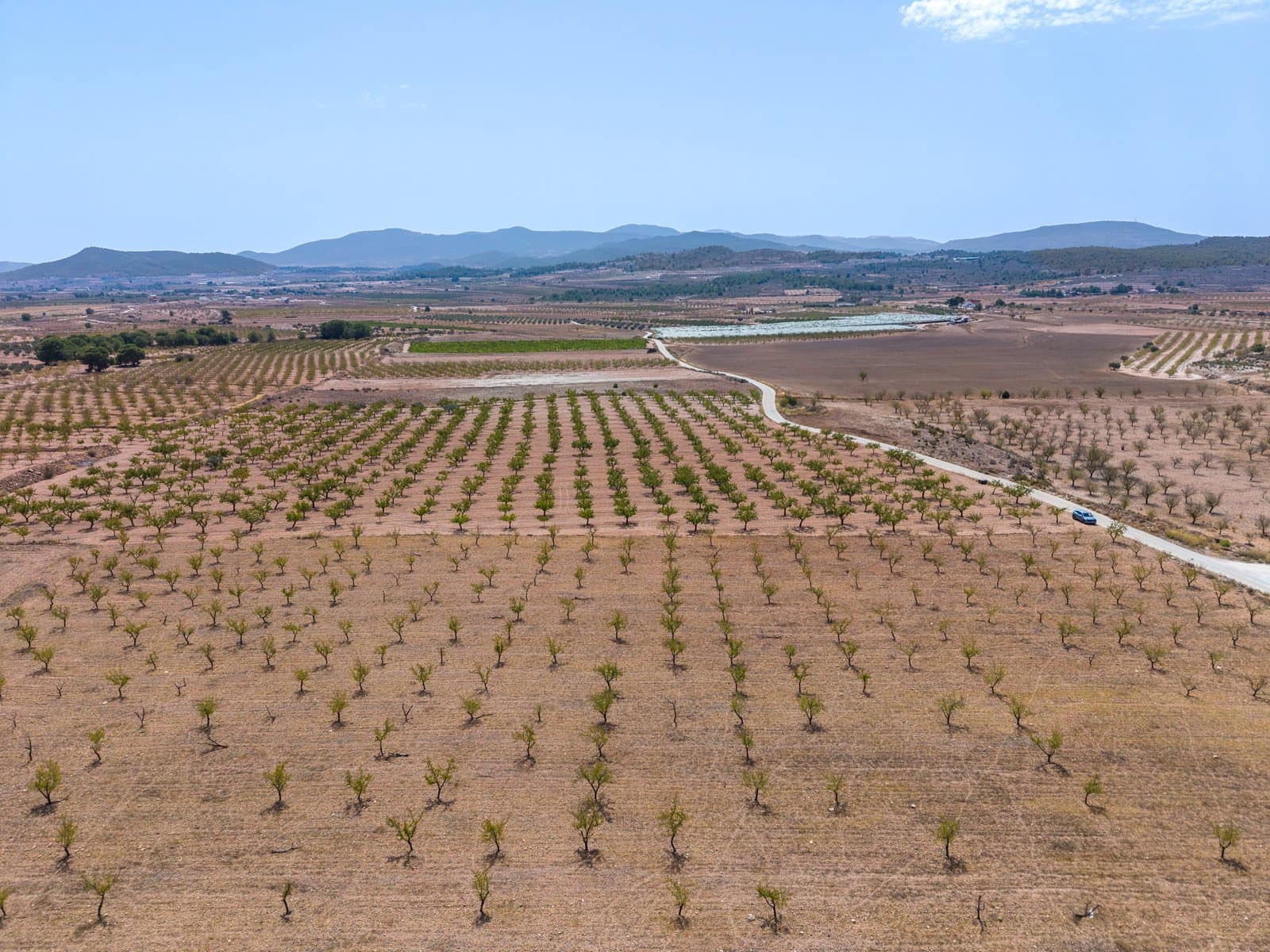 Mark till salu i Pinoso - 65 000 € (Ref: 10048079)