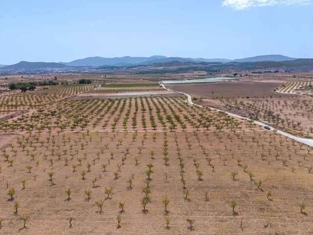 Mark till salu i Pinoso - 65 000 € (Ref: 10048079)