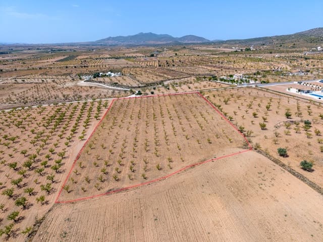 Mark till salu i Pinoso - 65 000 € (Ref: 10048079)