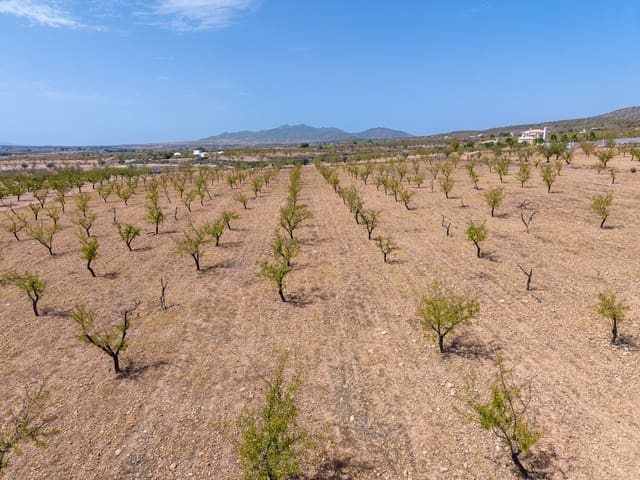 Mark till salu i Pinoso - 65 000 € (Ref: 10048079)