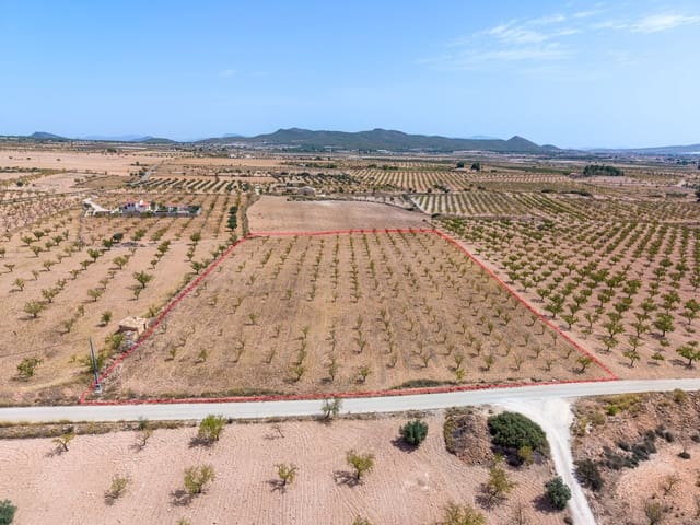 Mark till salu i Pinoso - 65 000 € (Ref: 10048079)