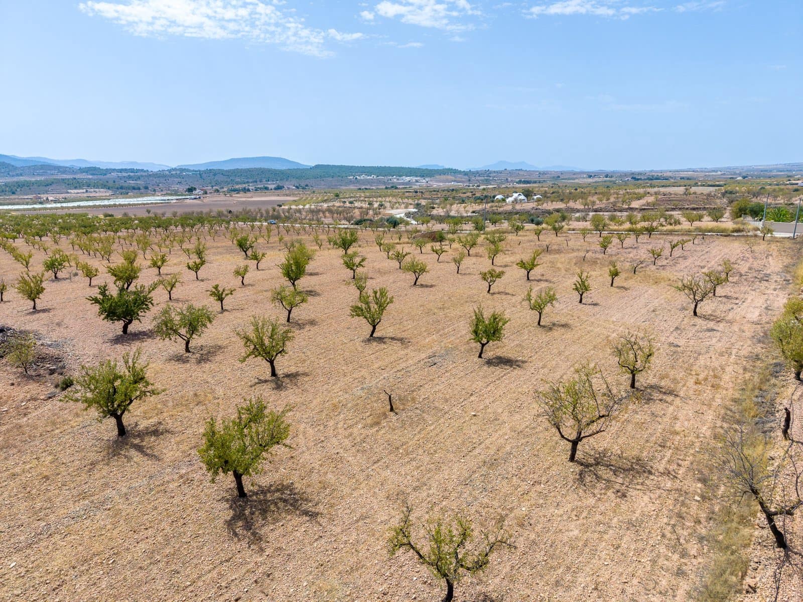 Mark till salu i Pinoso - 65 000 € (Ref: 10048080)