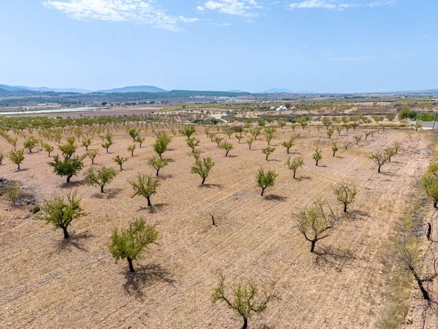 Mark till salu i Pinoso - 65 000 € (Ref: 10048080)