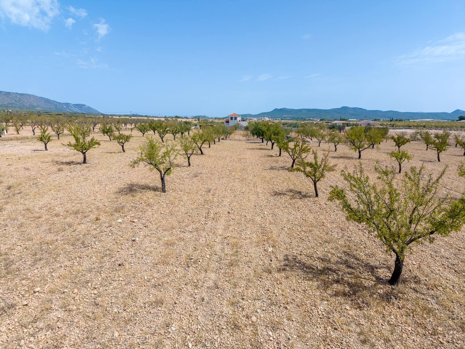 Mark till salu i Pinoso - 65 000 € (Ref: 10048080)