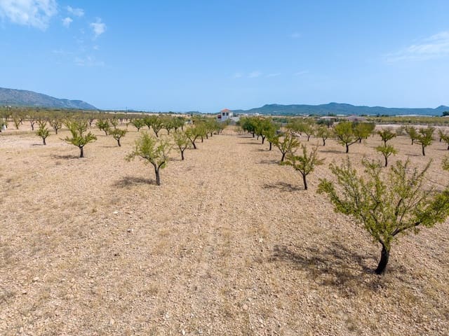 Mark till salu i Pinoso - 65 000 € (Ref: 10048080)