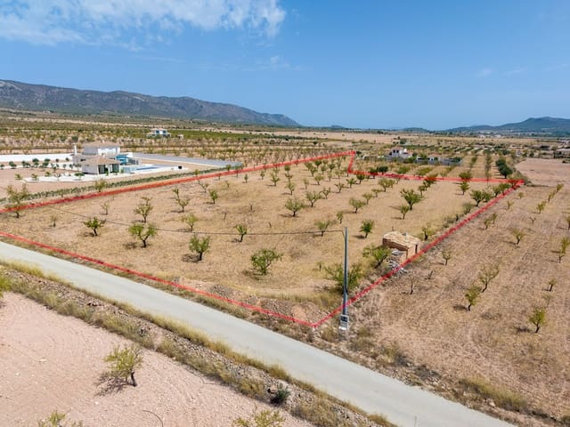 Mark till salu i Pinoso - 65 000 € (Ref: 10048080)