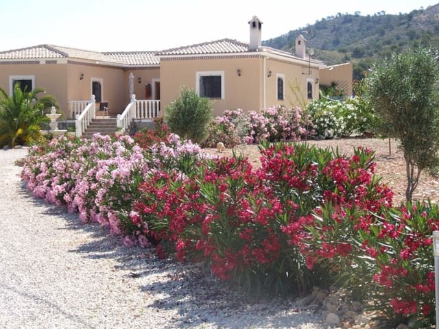 4 quarto Moradia para venda em Cañada de la Lena, Abanilla com piscina - 350 000 € (Ref: 10077272)
