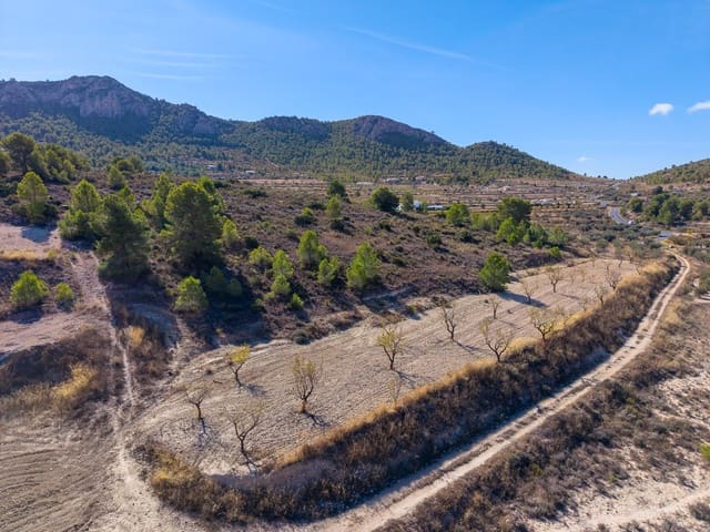 Grond te koop in La Zarza, Jumilla - € 16.000 (Ref: 10118587)