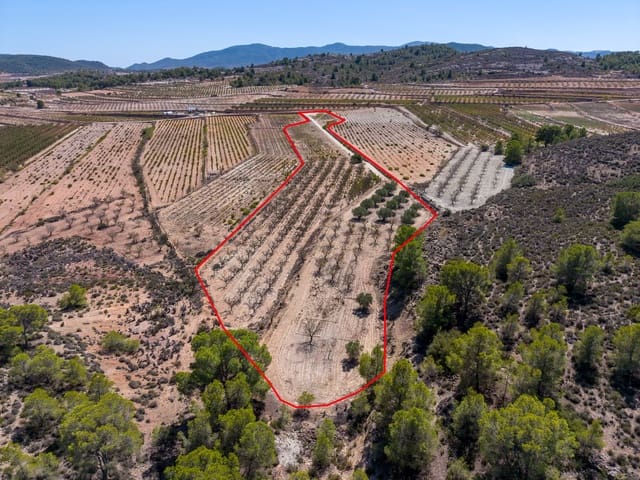 Terreno Não Urbanizado para venda em Ubeda, Pinoso - 64 950 € (Ref: 10124823)