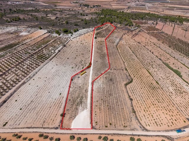 Terreno Não Urbanizado para venda em Ubeda, Pinoso - 64 950 € (Ref: 10124823)