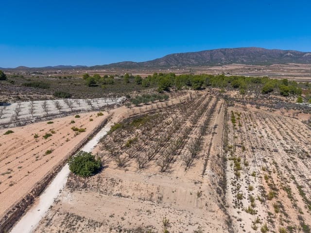 Terreno Não Urbanizado para venda em Ubeda, Pinoso - 64 950 € (Ref: 10124823)