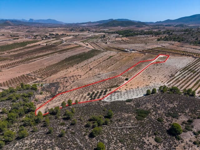 Terreno Não Urbanizado para venda em Ubeda, Pinoso - 64 950 € (Ref: 10124823)