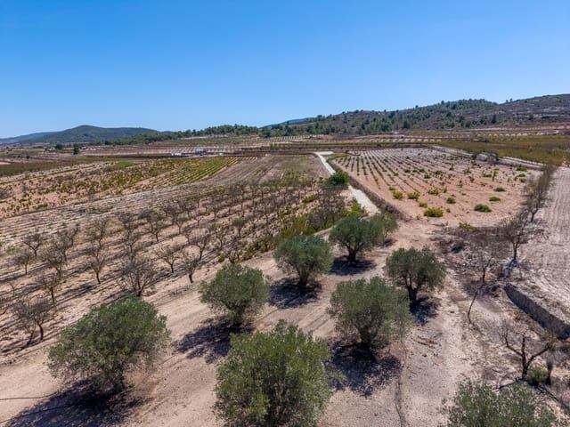 Terreno Não Urbanizado para venda em Ubeda, Pinoso - 64 950 € (Ref: 10124823)