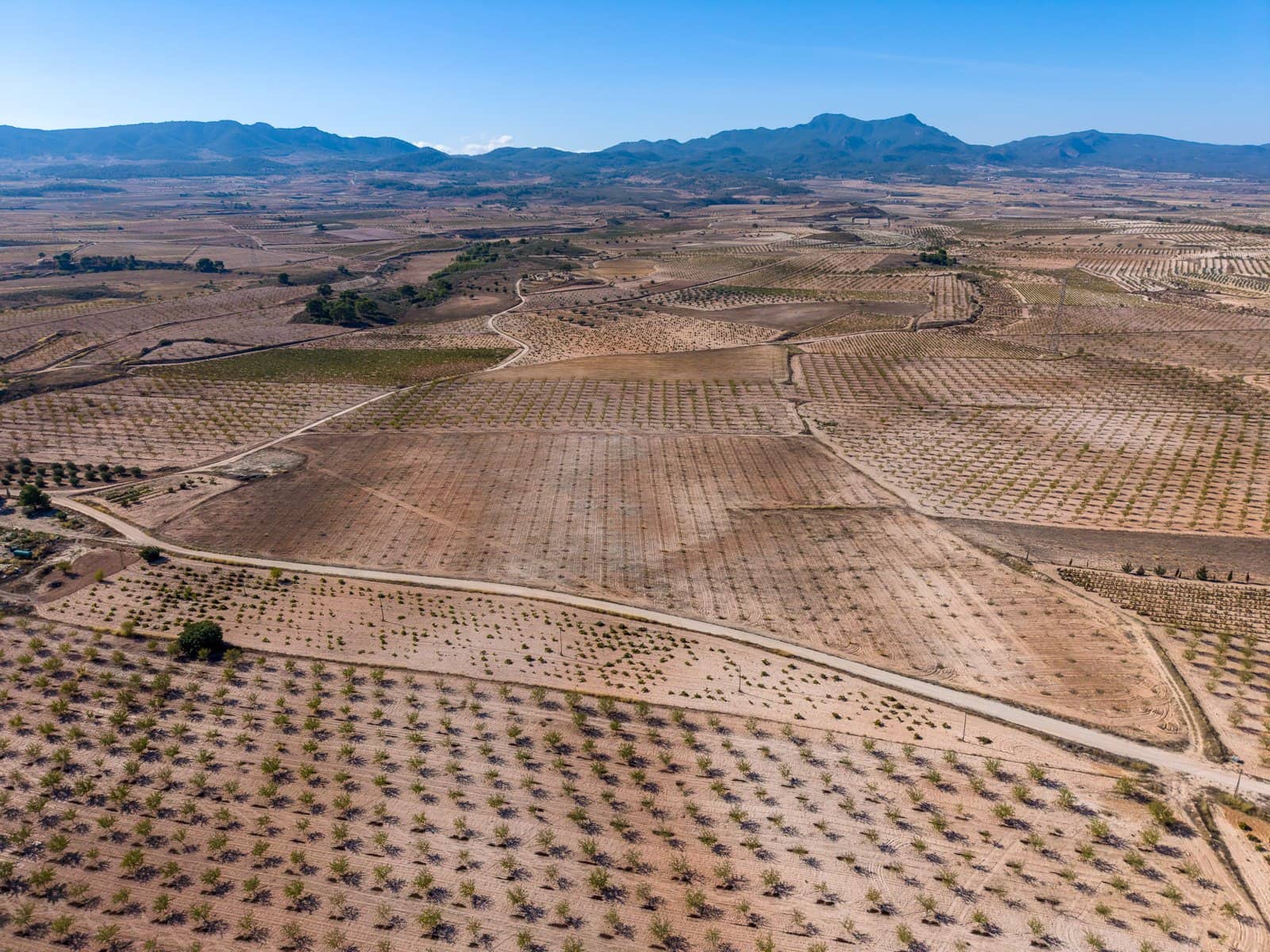 Terre non Aménagée à vendre à Jumilla - 69 000 € (Ref: 10130477)