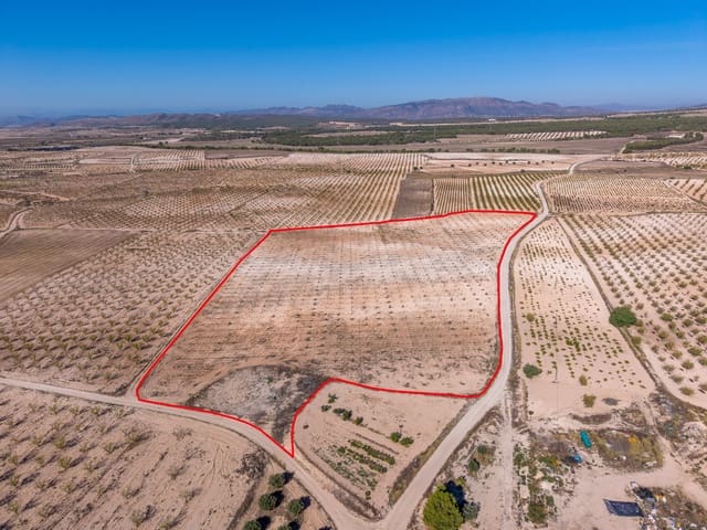 Terre non Aménagée à vendre à Jumilla - 69 000 € (Ref: 10130477)