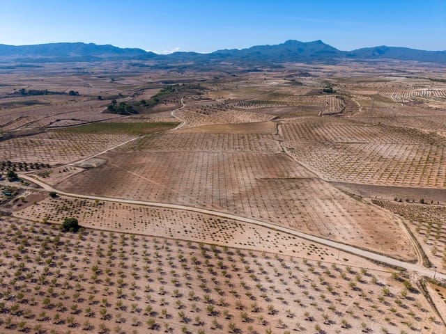 Terre non Aménagée à vendre à Jumilla - 69 000 € (Ref: 10130477)
